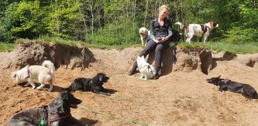 hundetraining gassiservice