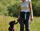 hundetraining gassiservice