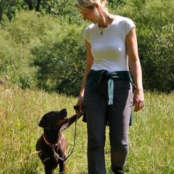 hundetraining gassiservice