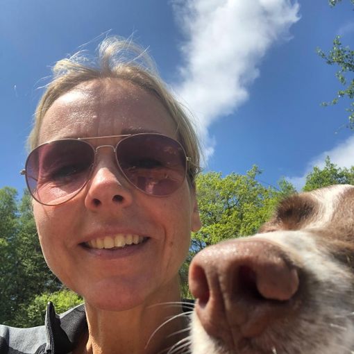 hundetraining gassiservice