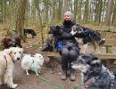 hundetraining gassiservice